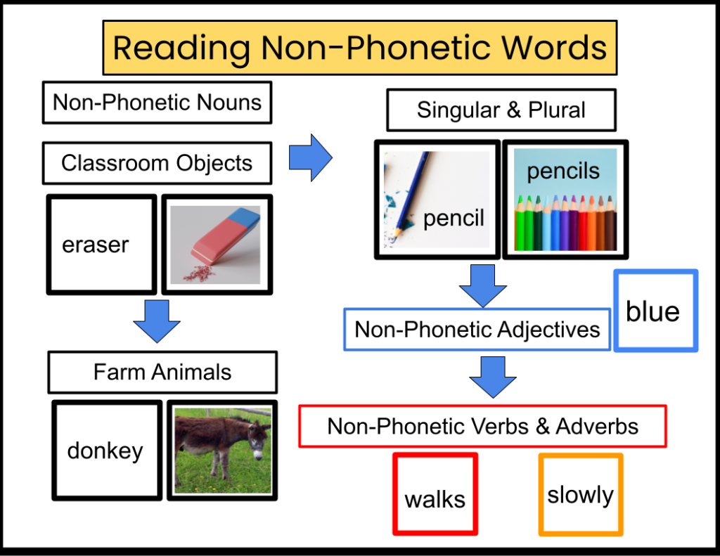 The Illustrated Guide To Montessori Digraphs And Non phonetic Words 